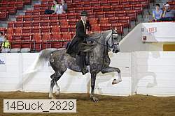 14buck_2829 proof