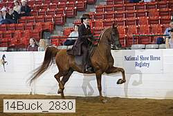 14buck_2830 proof