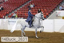 14buck_2831 proof