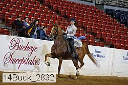 14buck_2832 proof
