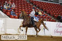 14buck_2833 proof
