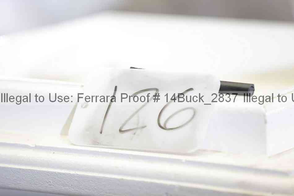 Proof 14buck_2837