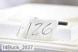 14buck_2837 proof