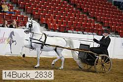 14buck_2838 proof