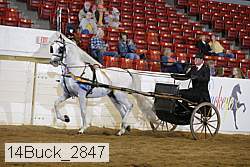 14buck_2847 proof