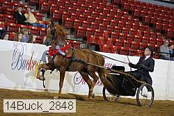 14buck_2848 proof