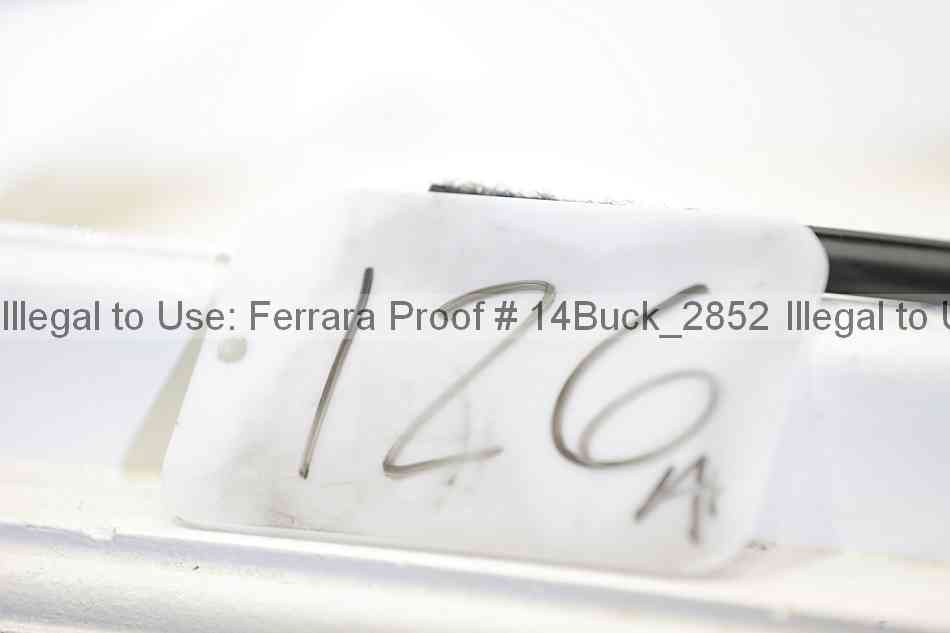Proof 14buck_2852