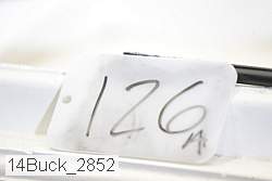14buck_2852 proof