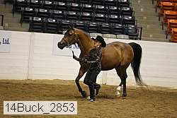 14buck_2853 proof