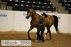 14buck_2854 proof