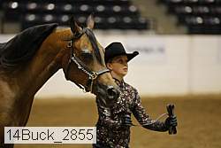 14buck_2855 proof