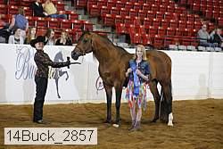 14buck_2857 proof