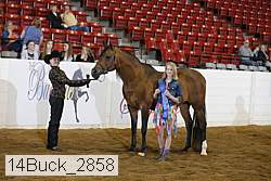 14buck_2858 proof
