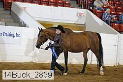 14buck_2859 proof
