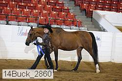 14buck_2860 proof