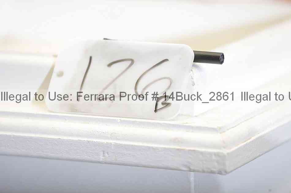 Proof 14buck_2861