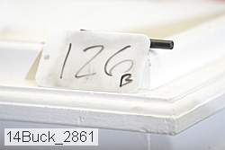 14buck_2861 proof