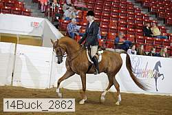 14buck_2862 proof