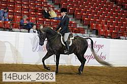 14buck_2863 proof