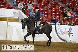 14buck_2864 proof