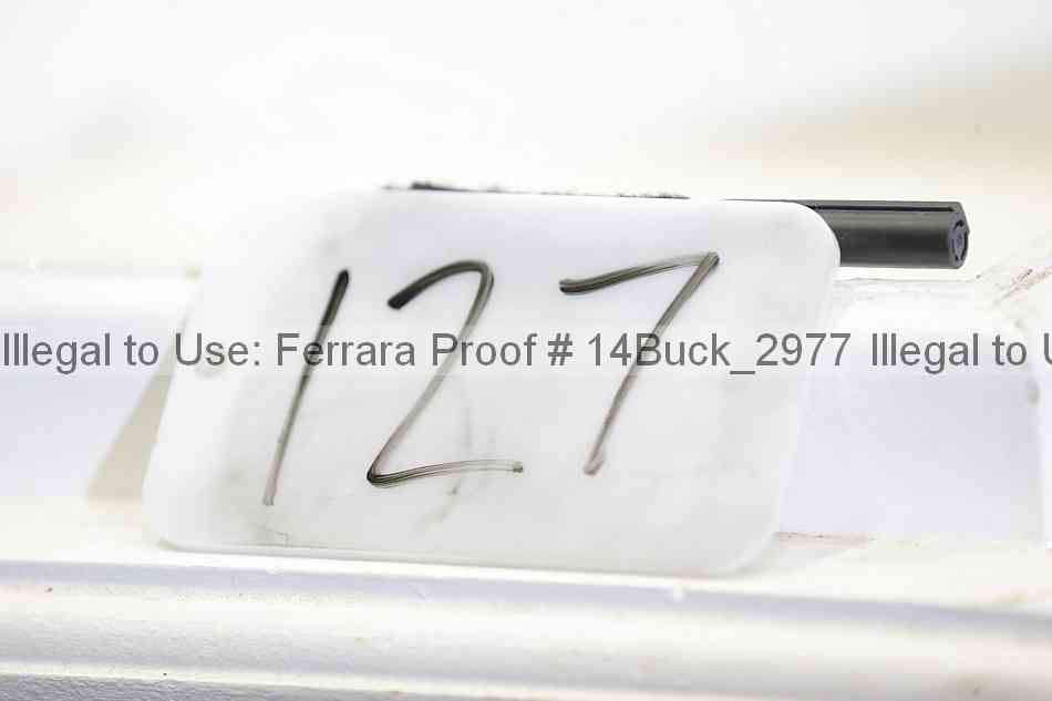 Proof 14buck_2977