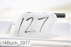 14buck_2977 proof
