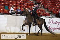14buck_2978 proof