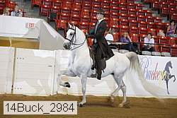 14buck_2984 proof