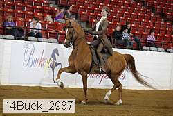 14buck_2987 proof