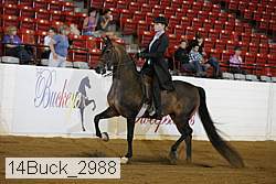 14buck_2988 proof