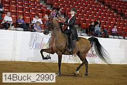14buck_2990 proof