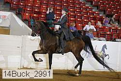 14buck_2991 proof