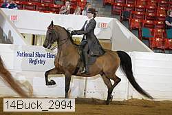 14buck_2994 proof