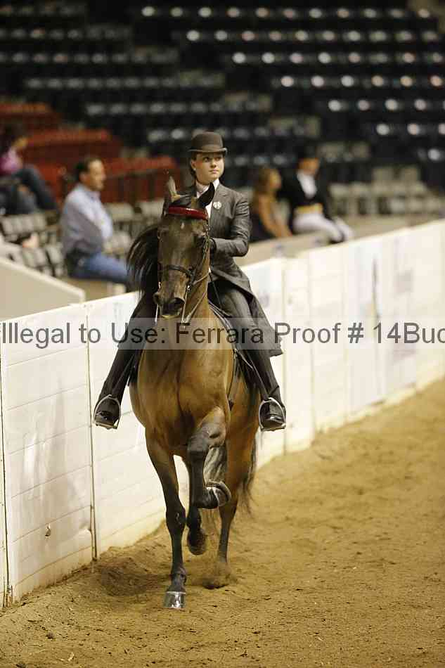 Proof 14buck_2997