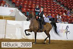 14buck_2998 proof