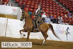 14buck_3001 proof