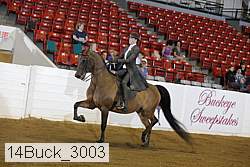 14buck_3003 proof