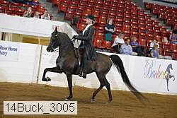 14buck_3005 proof
