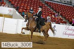 14buck_3006 proof