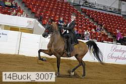 14buck_3007 proof