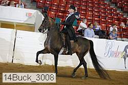 14buck_3008 proof