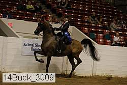14buck_3009 proof