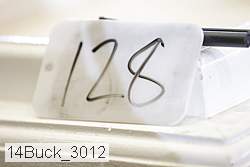 14buck_3012 proof