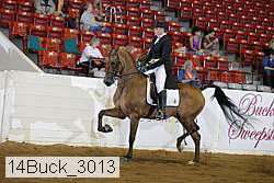 14buck_3013 proof
