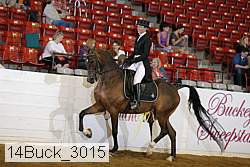 14buck_3015 proof