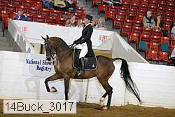 14buck_3017 proof