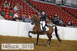14buck_3019 proof