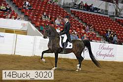 14buck_3020 proof