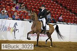 14buck_3022 proof
