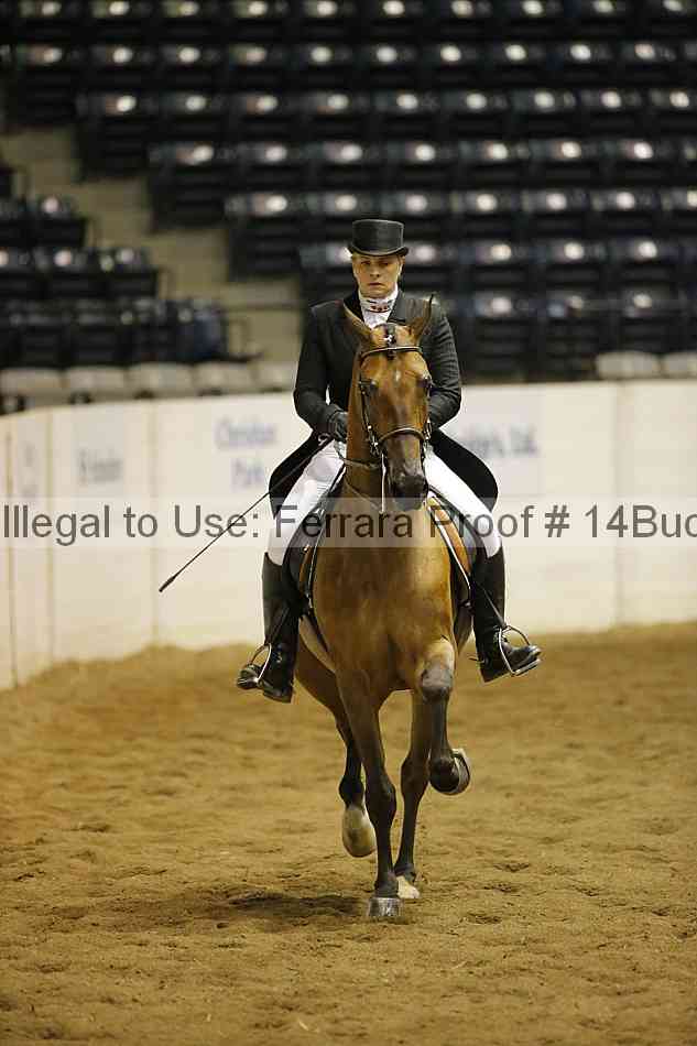 Proof 14buck_3024